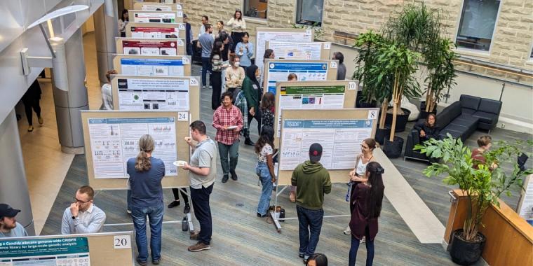 Researchers at Poster Day