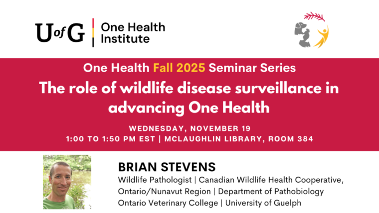 Thumbnail of Brain Steven's upcoming seminar