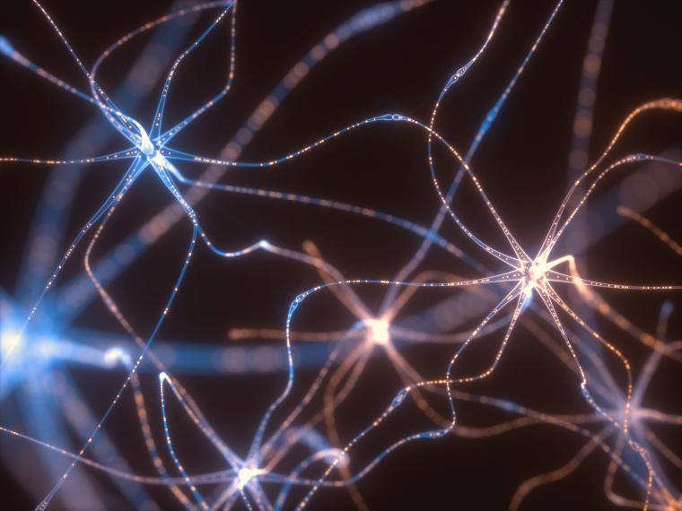 Illustration of neurons