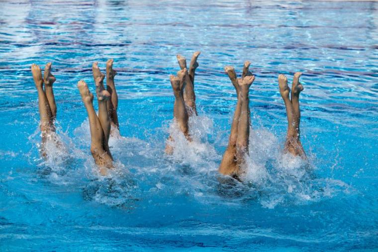 Synchronized swimmers' legs above the water in a swimming pool