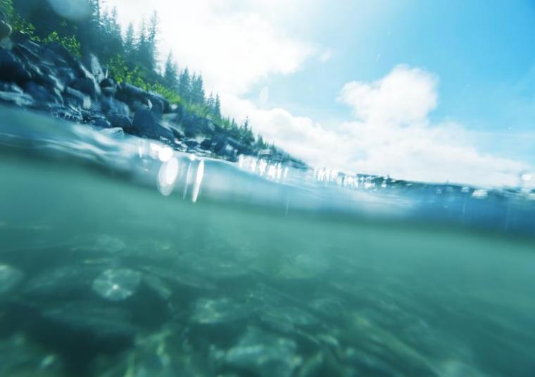 Lake shore with transparent waters and a rocky bottom