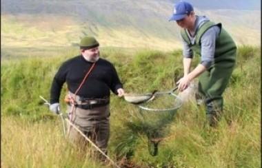 Researchers sampling in a small stream in Iceland