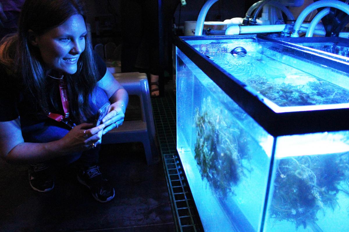 Alumni looks at fish tank