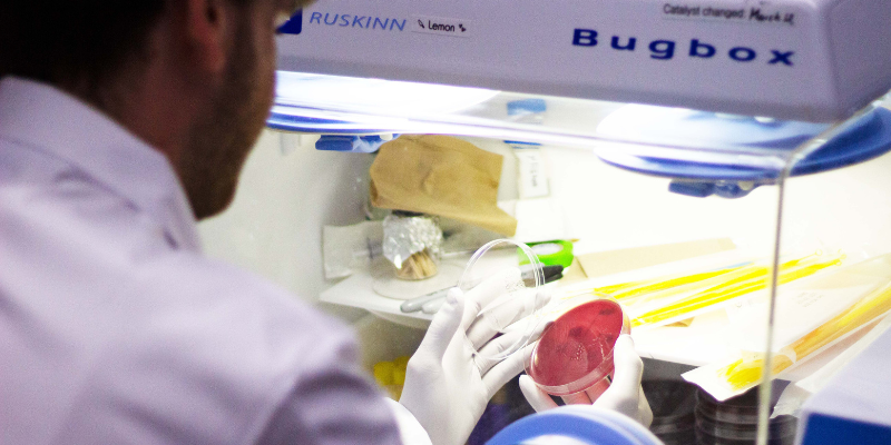 Jacob Wilde examines a petri dish