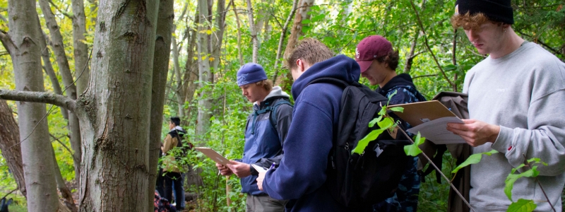 Students work on an assignment in the woods
