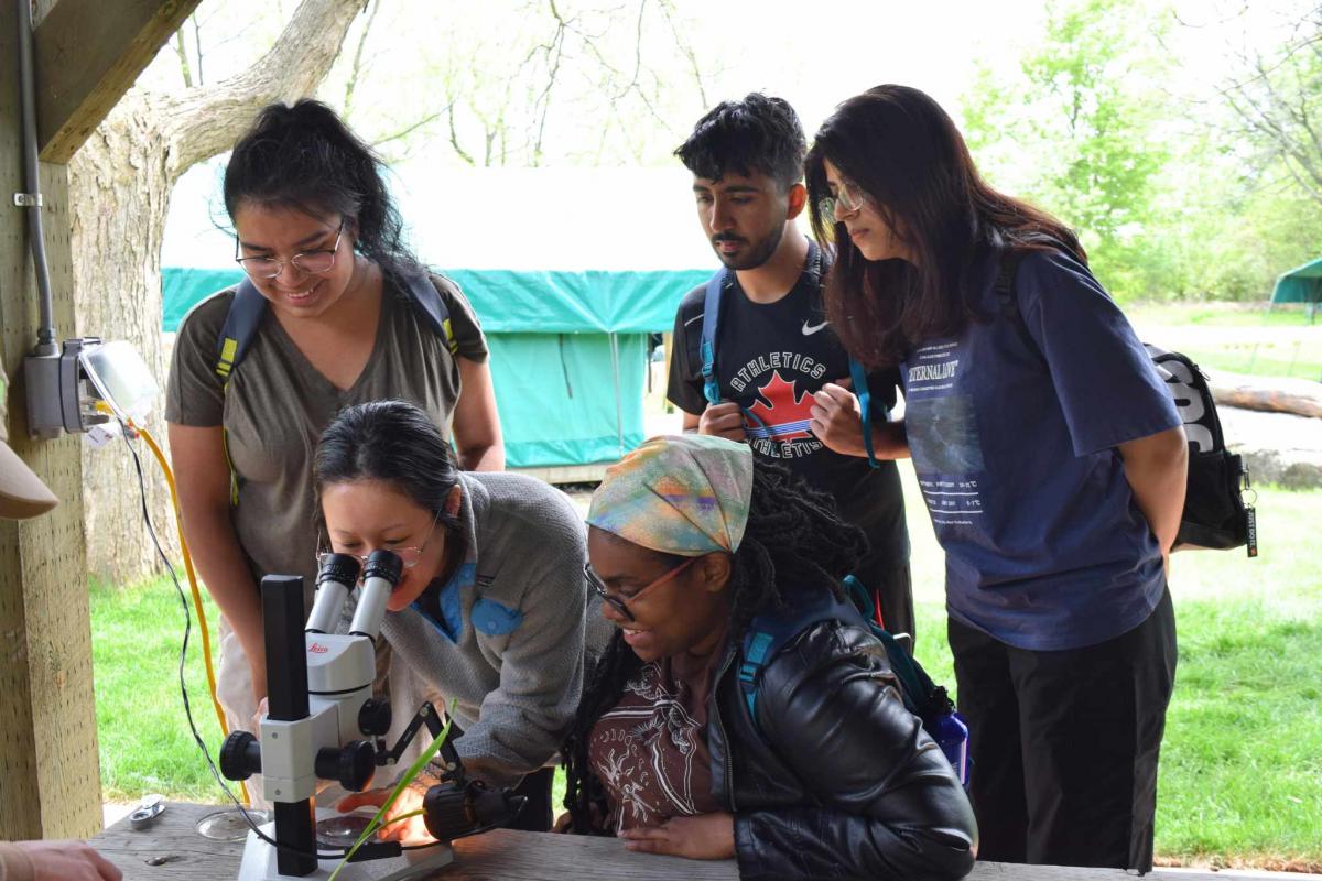 Students use microscopes at the Toronto Zoo Bush Camp to examine aquatic invertebrates and their different methods of movement.