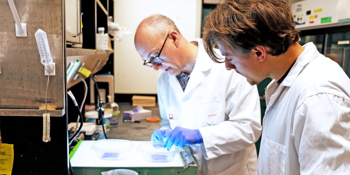 John Dawson and student examine protein gel stains