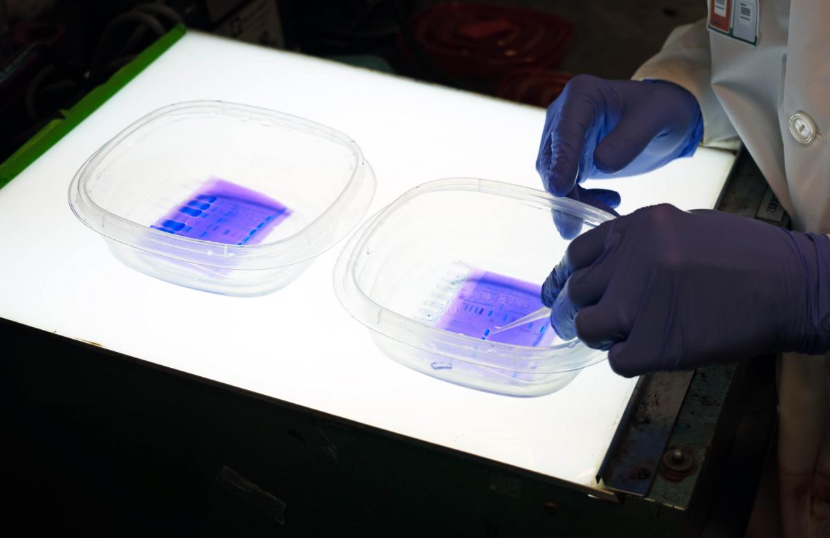 John Dawson points to protein markers on gel