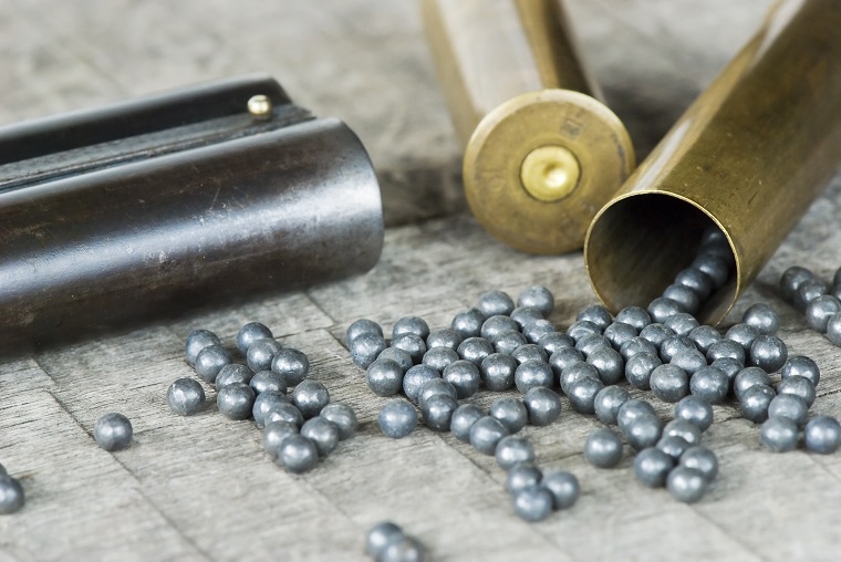 Is Lead Shot Harmful To Humans at Brandon Hogans blog
