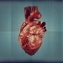 Picture of a Heart