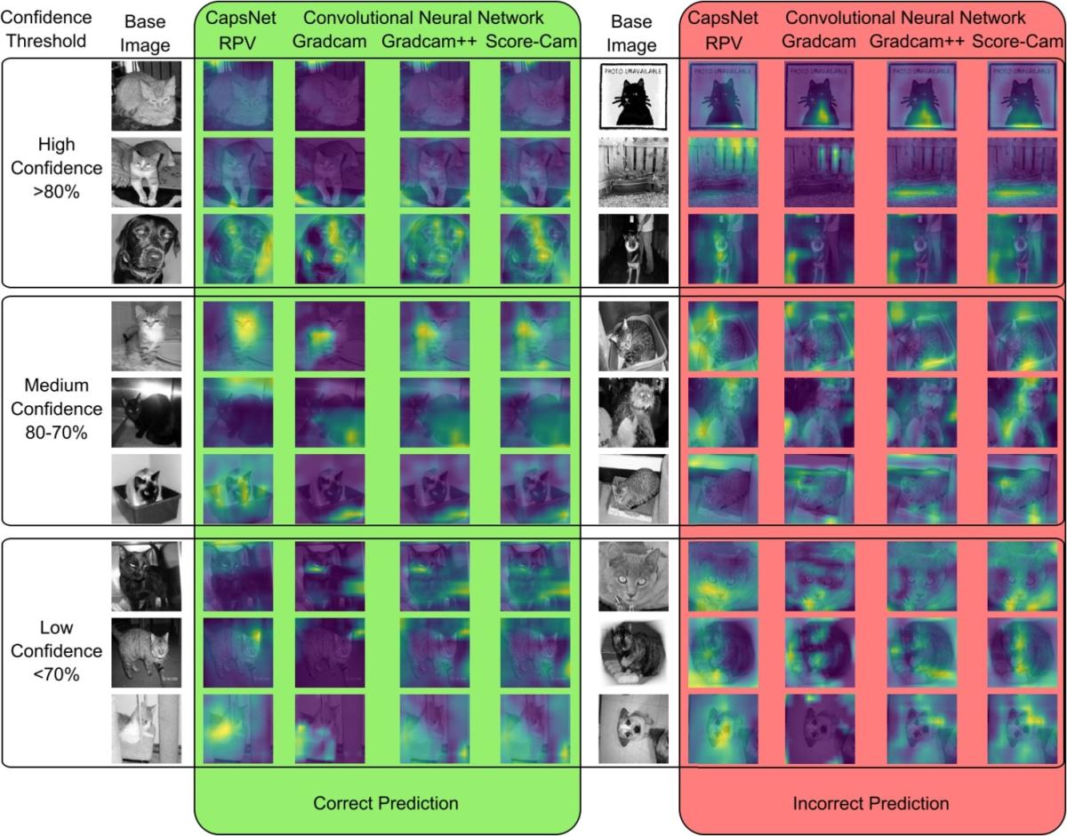 Figure comparing AI visualization methods for image classification using cats and dogs. 