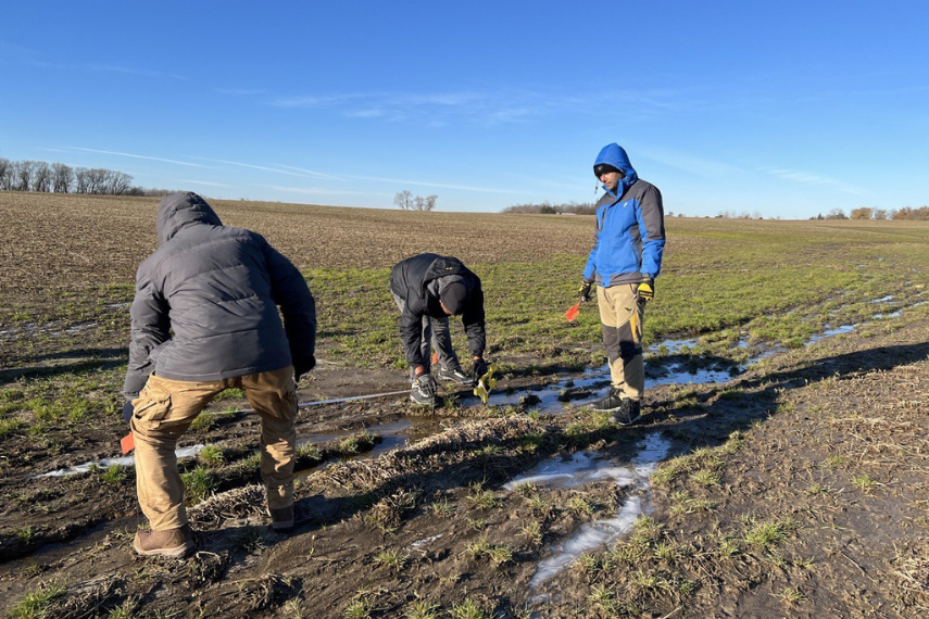 Three researchers in a field with a blue sky. 