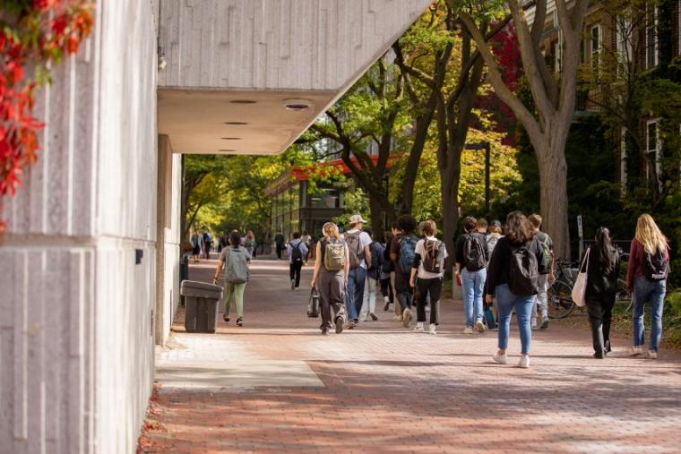 Students are walking on a path on campus.