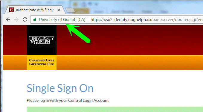 Genuine SSO login page confirmed in Chrome