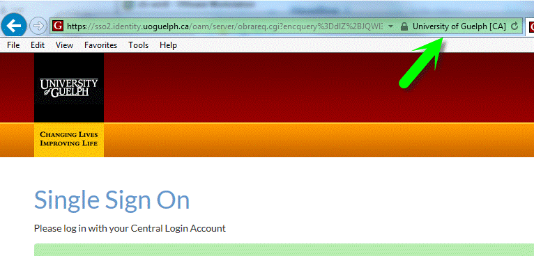 Genuine SSO login page confirmed in IE
