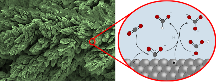 A microscopic view of a green substance points to a chemical diagram explaining it