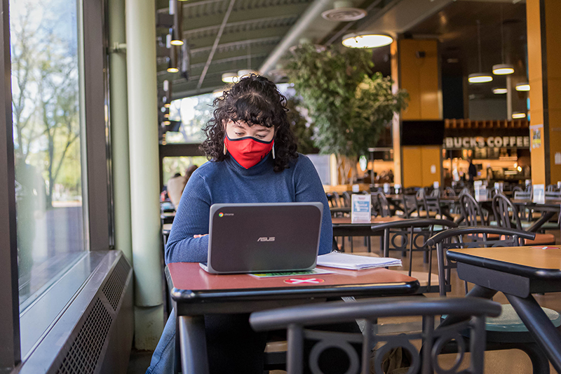 Image of U of G student sitting in Starbucks area while working on computer