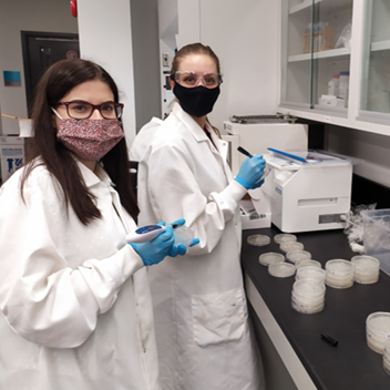 Two researchers in lab wearing white lab coats and preparing media on plates.