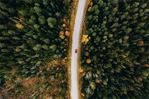 Overhead image of car driving down road with trees lining each side