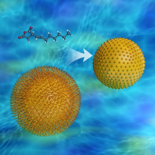 Graphical image showing close up of phytoglycogen nanoparticles.