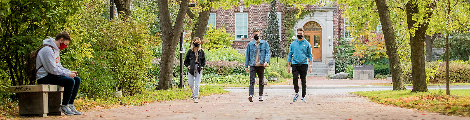 Person sitting on bench wearing a mask on Reynold's walk using their phone. Three other masked students are in the distance walking towards the camera. The foliage is turning to fall colours.