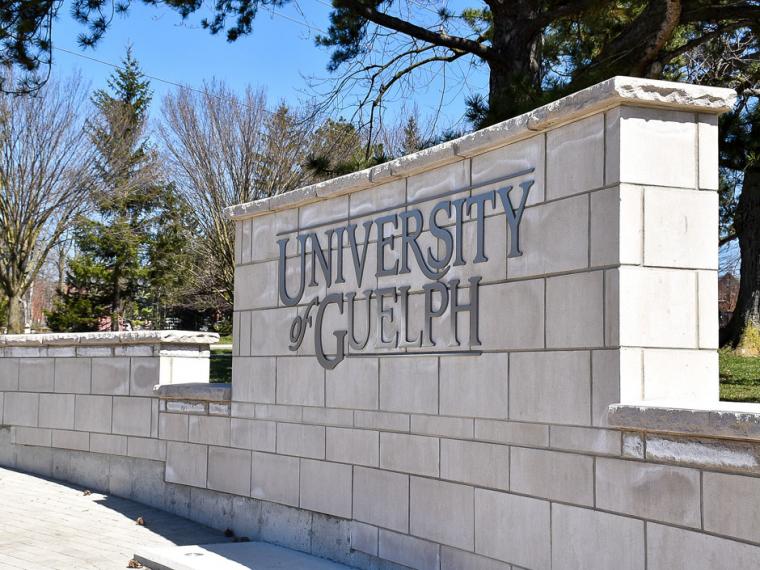 Image of U of G statue and sign