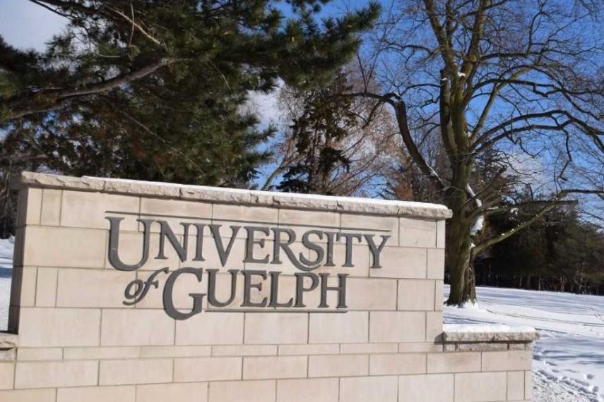 University of Guelph sign on campus