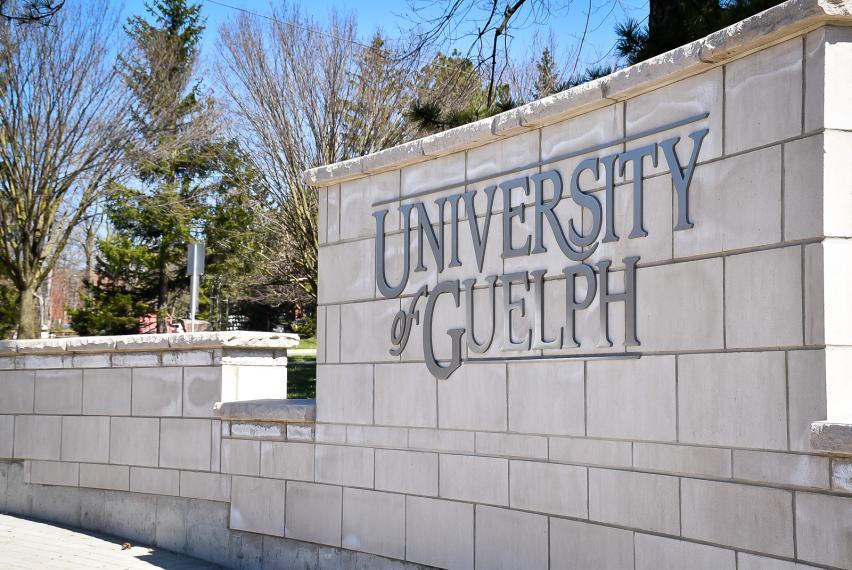 University of Guelph sign and architecture