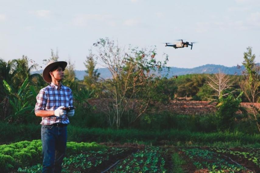 Man stands in agricultural field flying a drone.