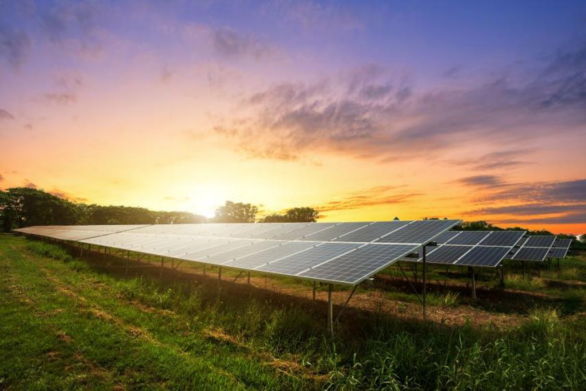 Image showing field with large solar panels during sunset.