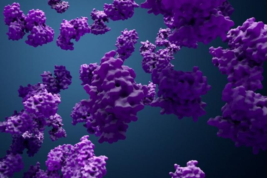 Close up image of proteins, purple in colour.