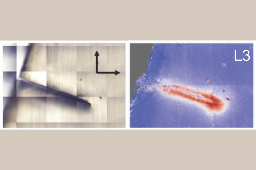 Magnified image of a crack on the inner surface of a PEX-a pipe