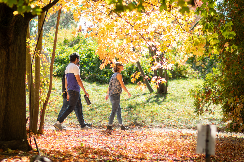 Two men and a woman walking in the Guelph Arboretum on a sunny fall day.