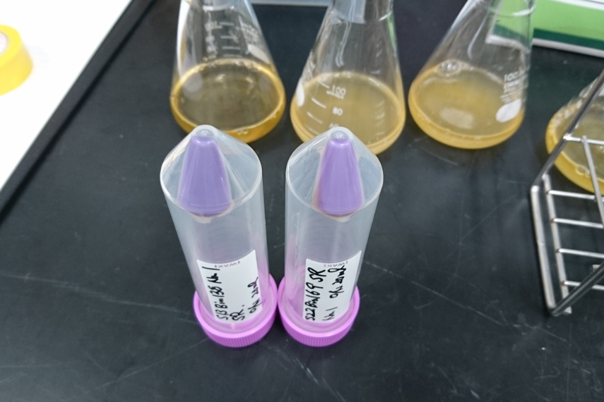 two clear tubes with purple lids on lab table. 