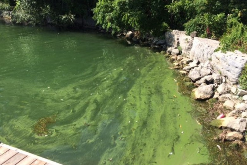 Image of green fairy lake with rocks on the shoreline.