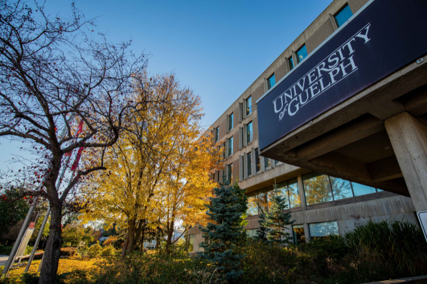 University Centre during the spring, next to a tree with yellow leaves and a Canada flag.