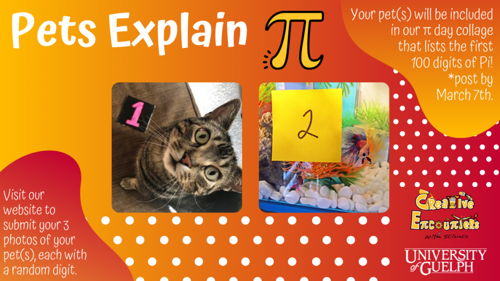 Promotional image for Pets Explain Pi