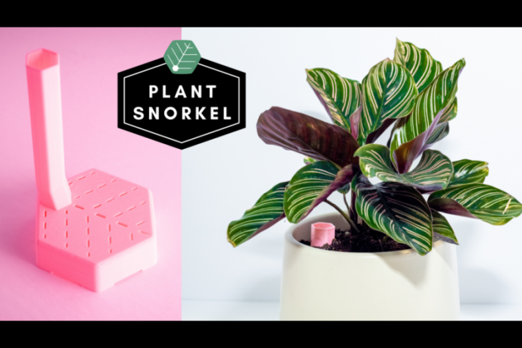Plant snorkel promotional image