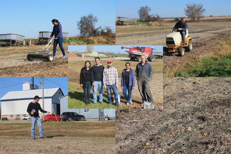 Composite image from Chemical Institute of Canada feature showing 5 different images with field work