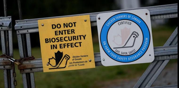 A biosecurity warning sign at a commercial poultry farm in Abbotsford, B.C.