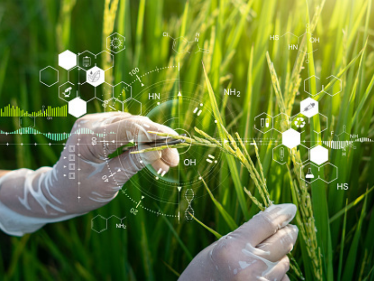 A pair of hands in clear gloves looks at tall green grass with white transparent scientific grapics overlaying them