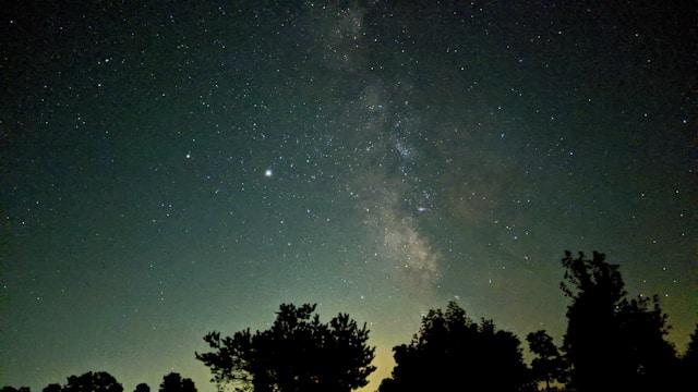  Silhouette of trees under starry night