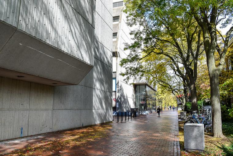 Reynolds Walk in the fall facing MacNaughton