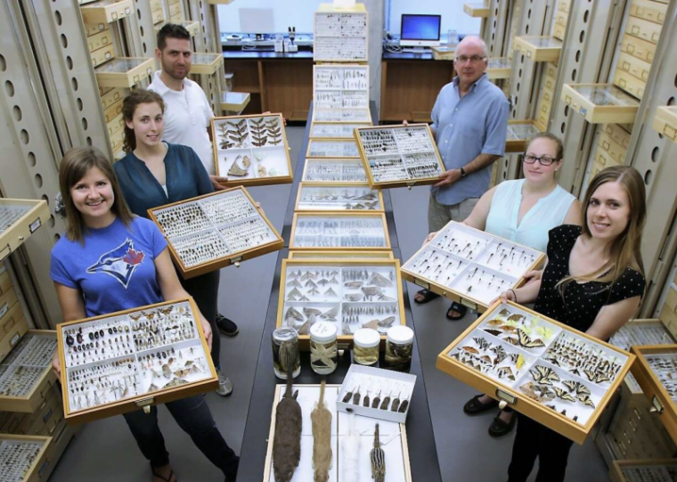 Image of students and faculty holding species in a lab at U of G.