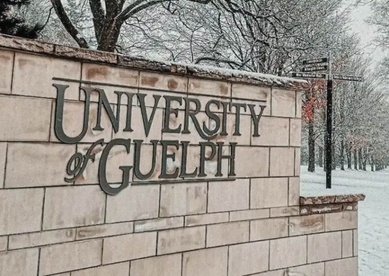 University of Guelph sign on brick wall