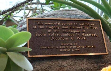 A photo of the memorial plaque for the December 6th Memorial for the National Day of Remembrance and Action on Violence Against Women