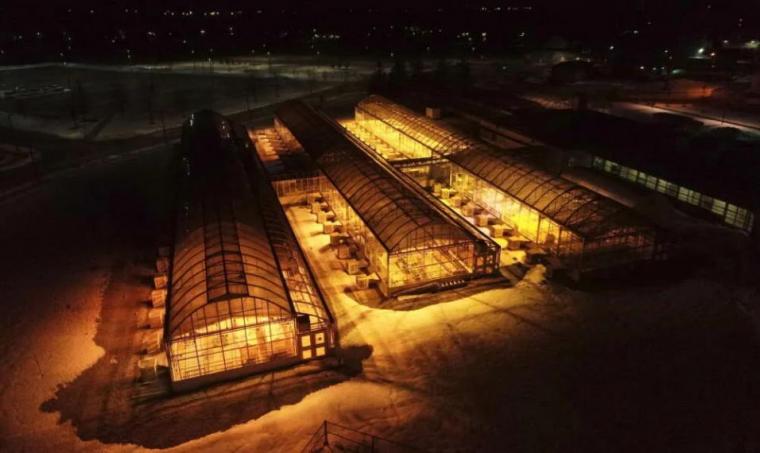 A photo of the UofG Greenhouses