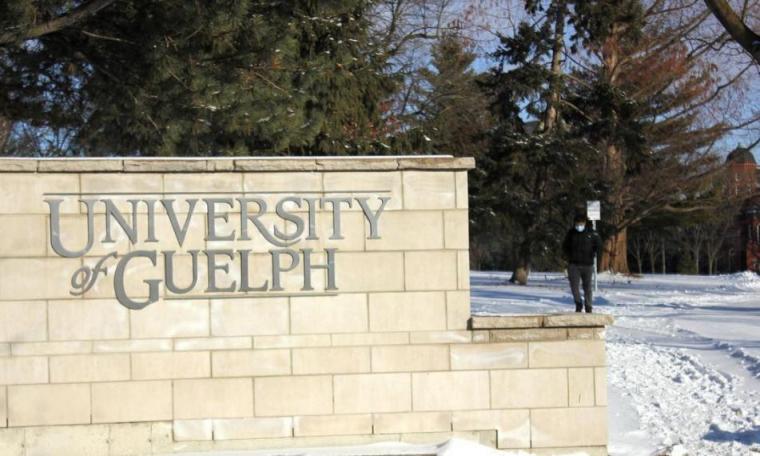 University of Guelph sign on brick wall