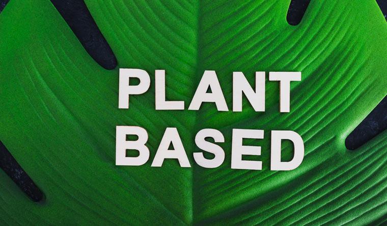 Image of a leaf with the words "PLANT BASED" overtop