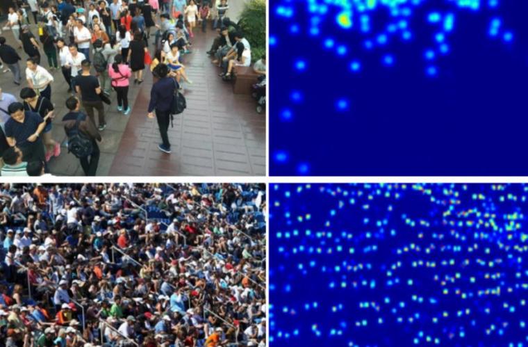 Input images from the study and corresponding crowd density maps